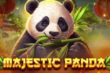 Dhaka7 mobile optimized game lobby showcasing smooth browsing and game selections